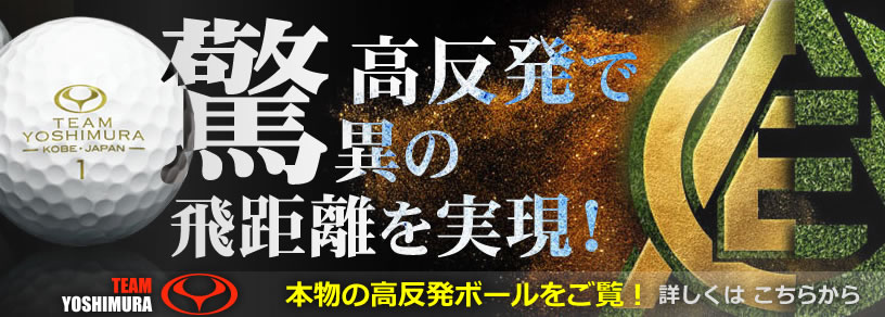 高反発で驚異の飛距離を実現 ACE ボール