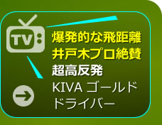 KIVA GOLD