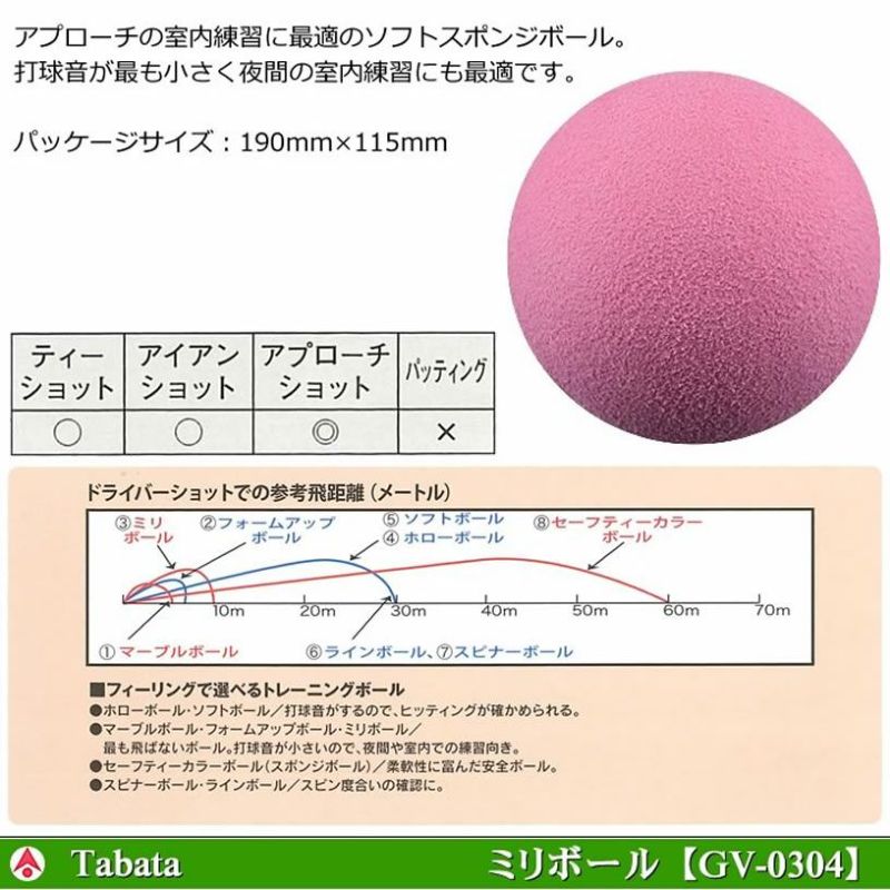 TABATA タバタ ミリボール 練習用ゴルフボール GV-0304【室内
