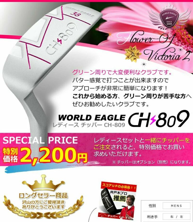 ワールドイーグル FL-01☆V2 レディース 13点(10本)クラブ ワールドイーグル FL-01☆V2 レディース 13点(10本)クラブ