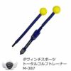 ライト ダヴィンチスポーツ トータルゴルフトレーナー M-387【IR】