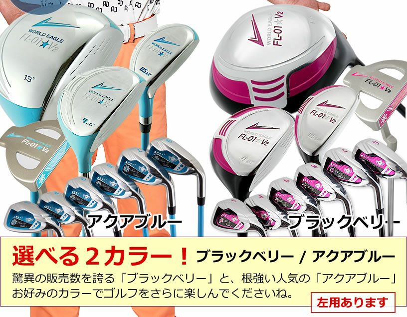 良品】ワールドイーグル FL-01☆V2 レディースゴルフセット 10本 L 