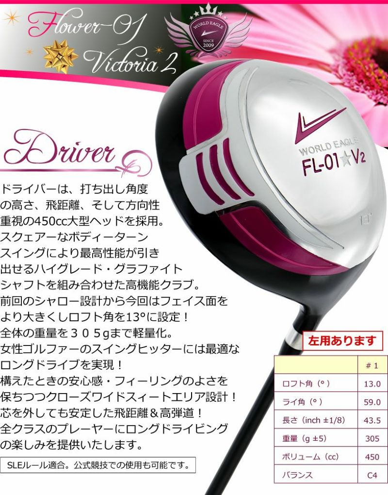 【美品】 ワールドイーグル　 FL-01★V2 ゴルフセット 右利き