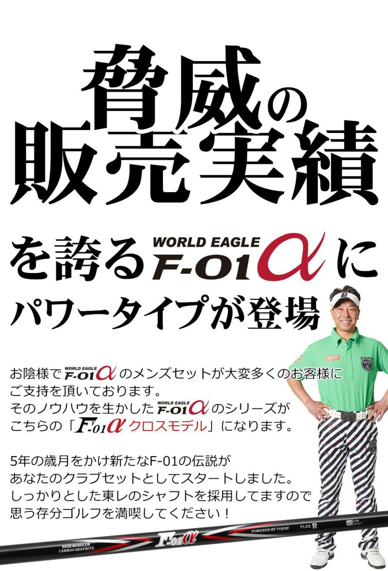 ワールドイーグル F-01 クロス メンズ 13点（11本）クラブセット