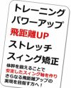 ゴルフ練習器具井戸木鴻樹プロが考案したスイング練習用クラブ重量アイアンヘッドスピードがアップトレーニング、パワーアップ、飛距離UP、ストレッチ、スイング矯正！