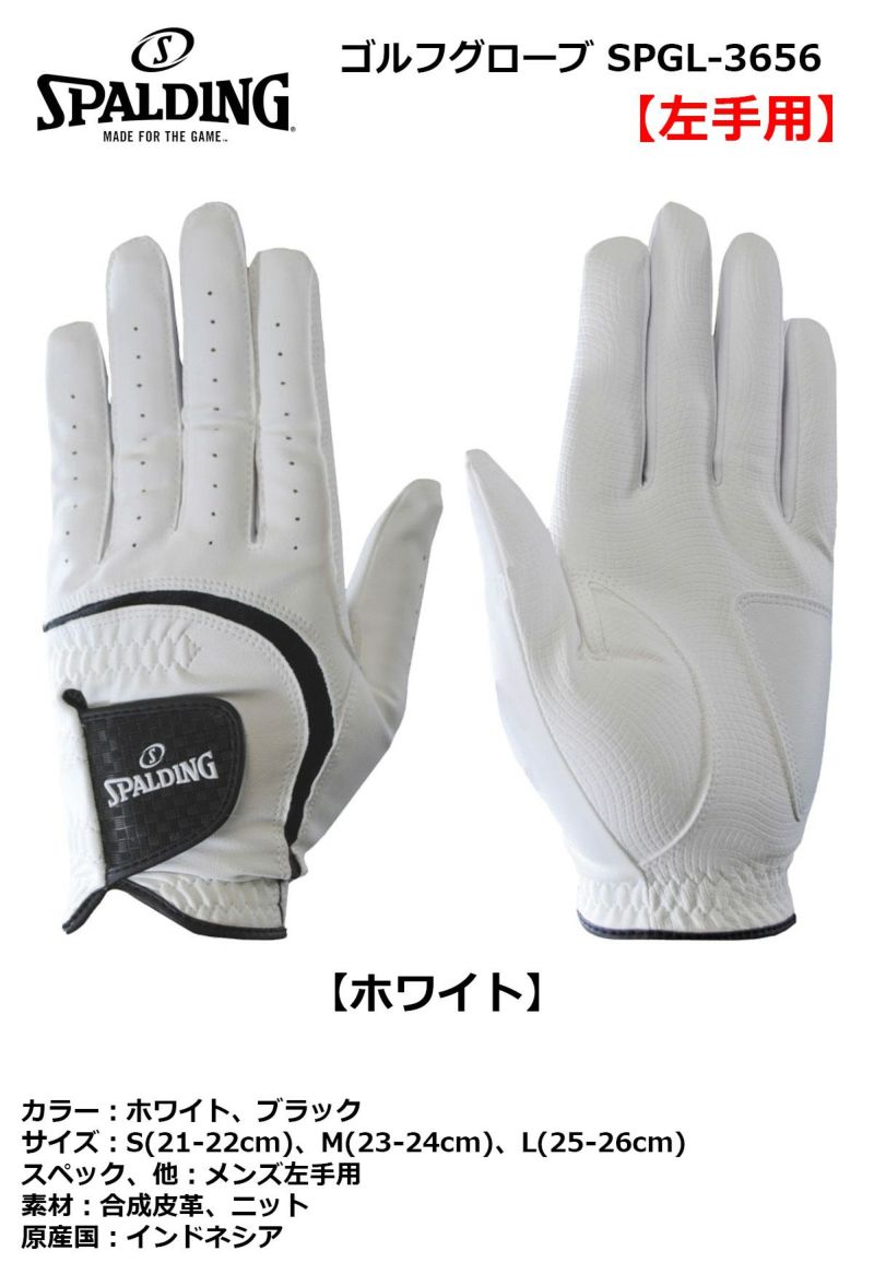 000000019089-02-l.jpg?t=